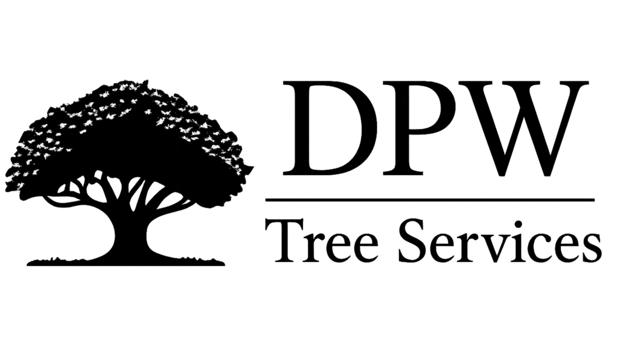 Tree Services in Pensacola Tree Services in Pensacola