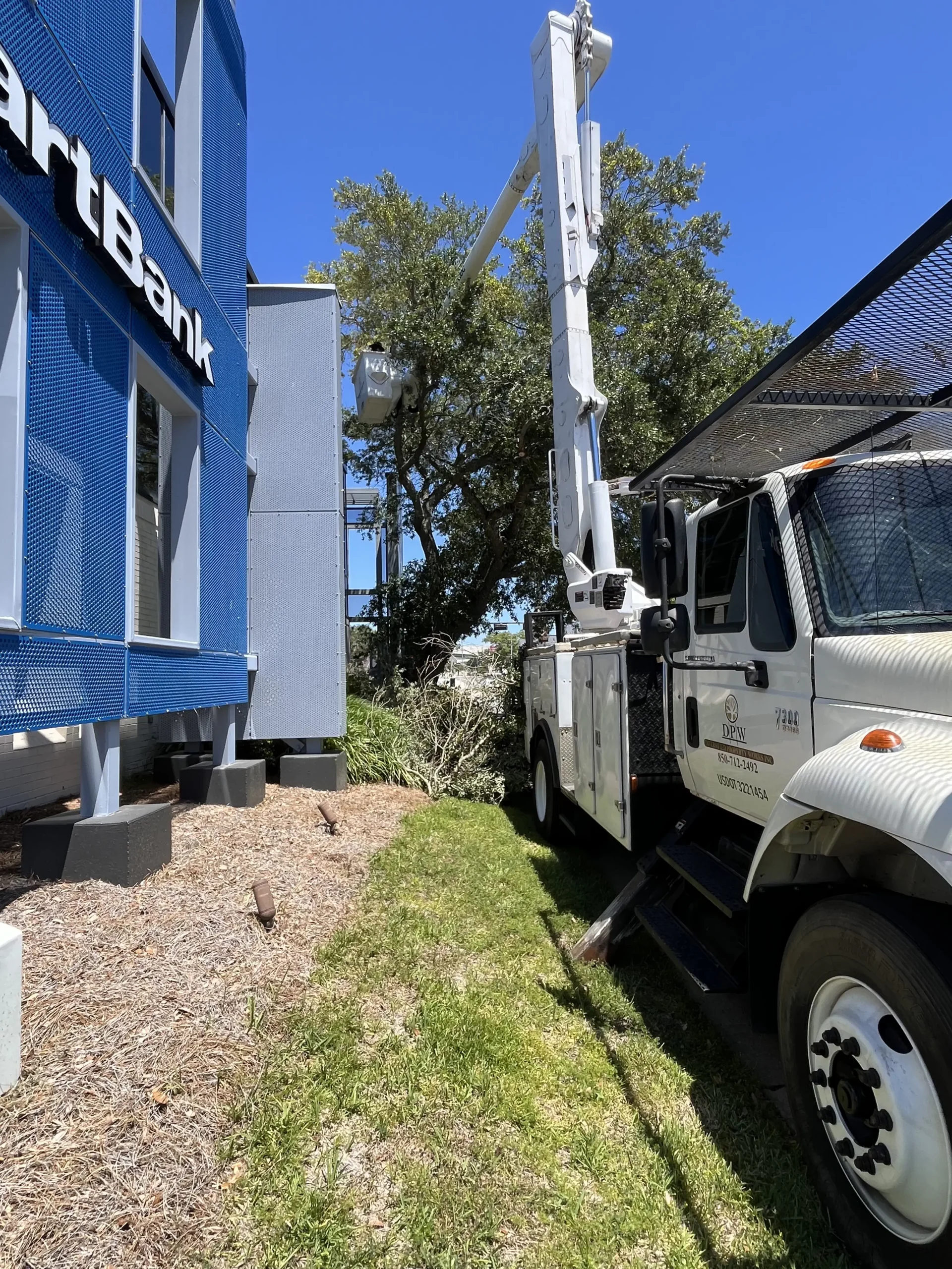 Commercial tree trimming service in Pensacola, FL using a bucket truck to safely prune large trees and maintain a professional business landscape.
